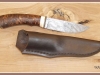 CASTANEA