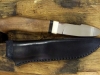 TANGUA